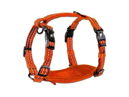 Alcott reflexni postroj pro psy oranzovy velikost S 1707201715365917622