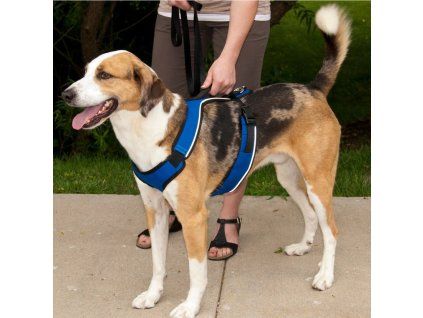 PetSafe EasySport image 0710202213411999064