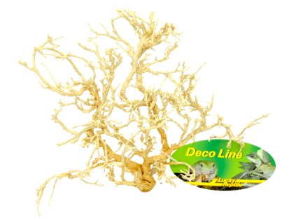 Lucky Reptile Desert Bushes Vybelene cca 15 20 cm 0111202412202096313