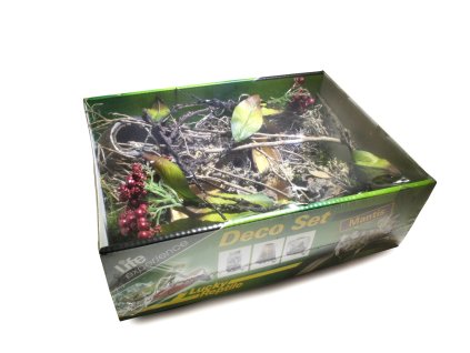 Lucky Reptile Deco Set Mantis 2507202510302819791