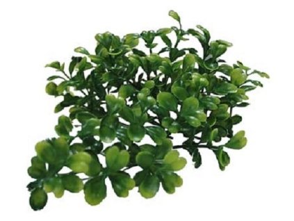 Lucky Reptile Turtle Plants Bacopa cca 40 cm 0907202504301593674
