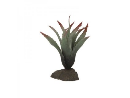 Lucky Reptile Sukulenty Tillandsia cca 20 cm 2407202508302496822