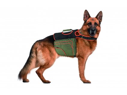 Karlie Batoh pro psy zeleno-oranžový reflexní vel. XL