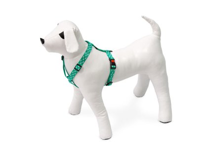 kf 522070 20211109051533 VvWZf4