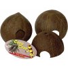 Lucky Reptile Coco Cave 3 4 skorapky cca 10 14 cm 270920250630256630