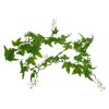 Lucky Reptile Jungle Vine Ivy Vine cca 200 cm 3008202502302496868