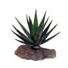 Lucky Reptile Sukulenty Tiger Aloe cca 8 cm 2410202506302066347