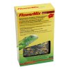 Lucky Reptile Flower Mix Ibisek 50g 0111202412155812098