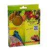 Lucky Reptile Fruit Jelly Hrozny 4x 15g 2410202506303477859