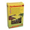 Lucky Reptile Earthworms 10g