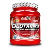 21197 amix glutamine 500g