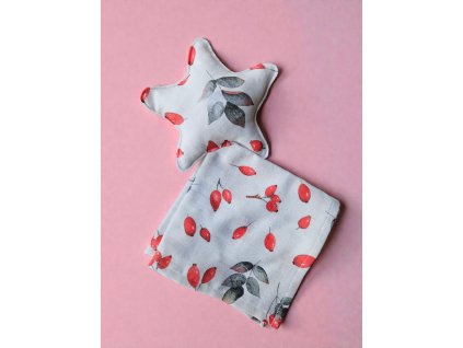 Muchláček hvězdička/více barev