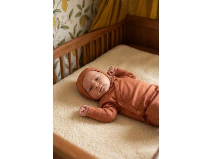 Snímek obrazovky 2026 01 10 113616