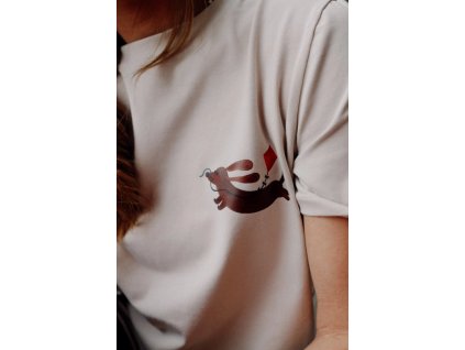 Snímek obrazovky 2026 02 06 093302