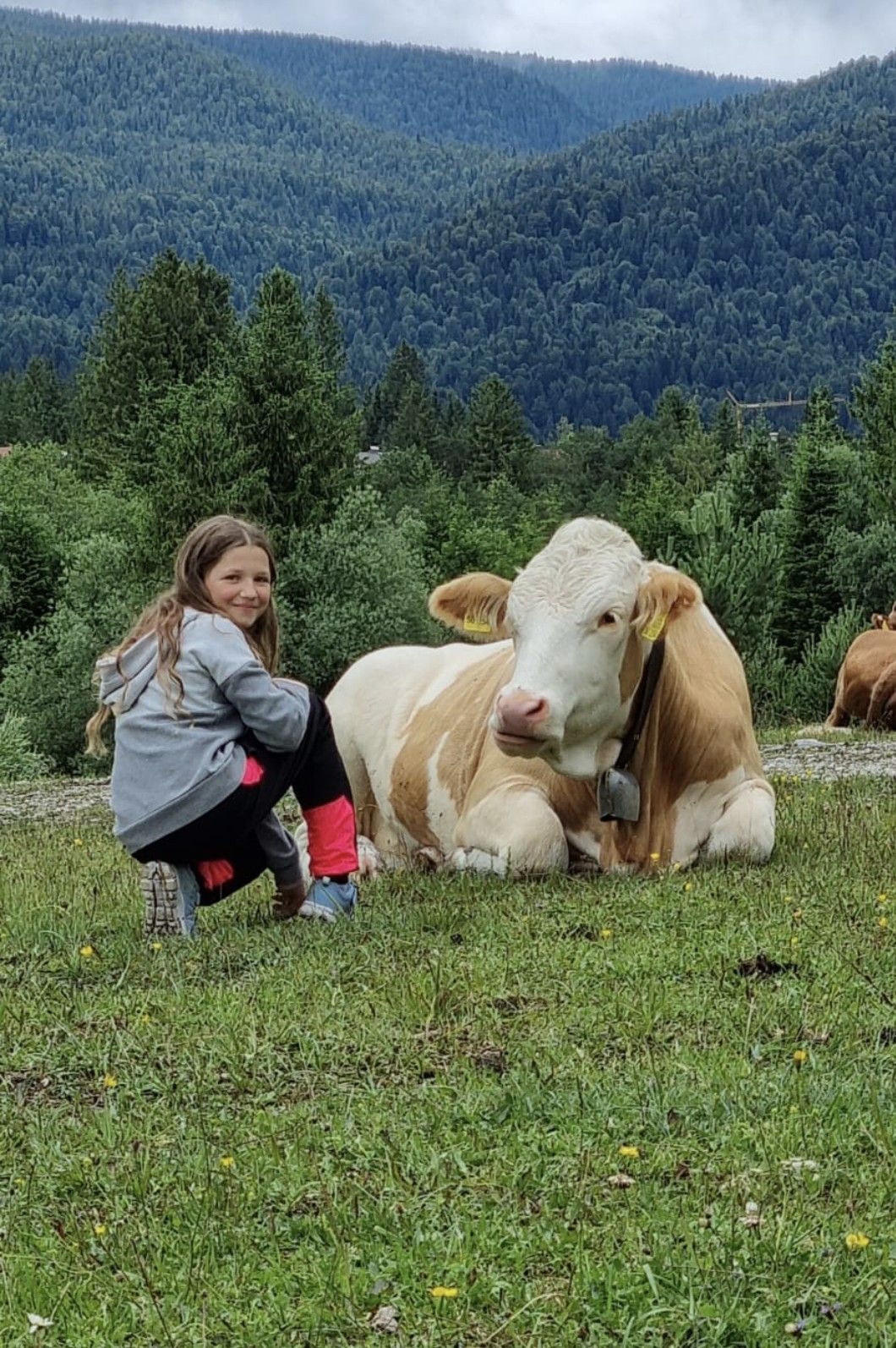 Screenshot_20260409_091225_Gallery