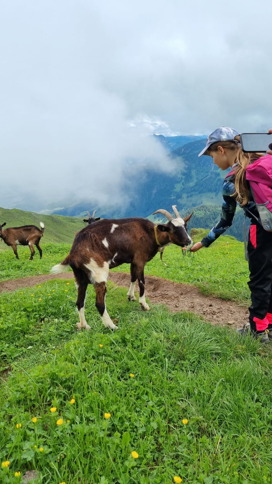 motion_photo_7766711757822819706