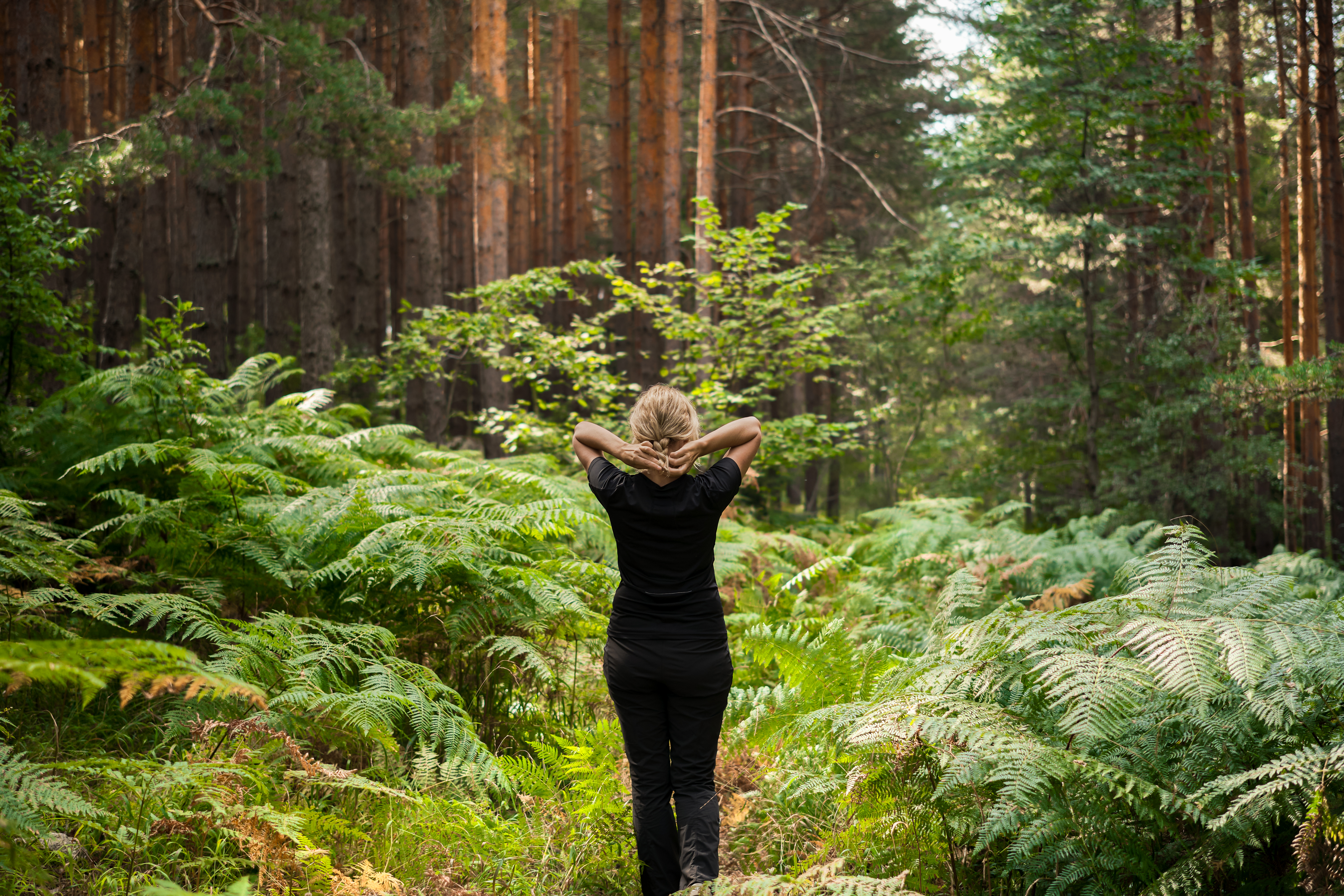 forest-baths-restoration-strength-psyche-adult-woman-walks-along-forest-path-ferns