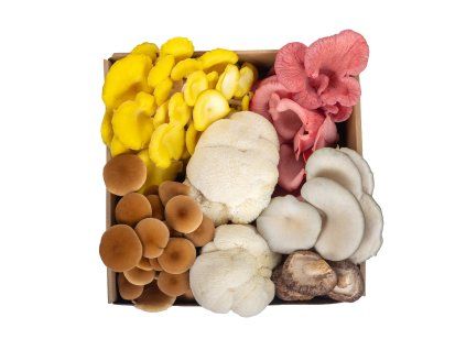 Čerstvé houby: Výběr směs – 500 g