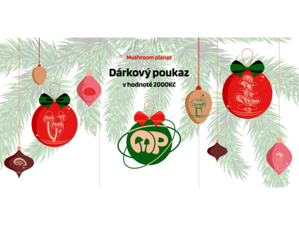 Dárková poukázka