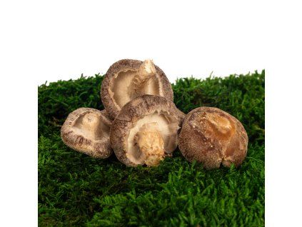Shiitake (Lentinula Edodes)