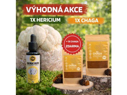 Balíček chaga – hericium