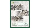 Ulovkytitul