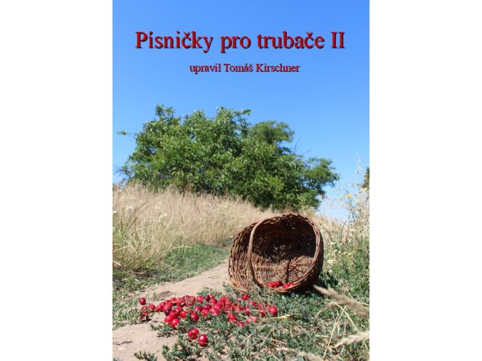 Písničky II
