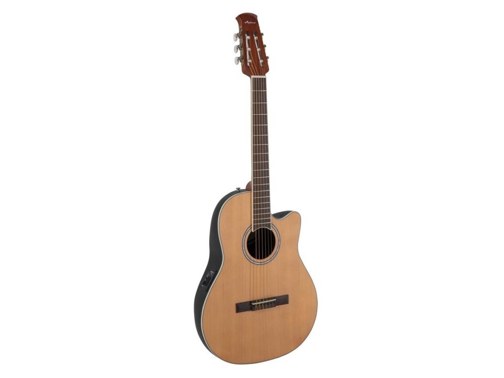 Applause nylon 2024 string guitar
