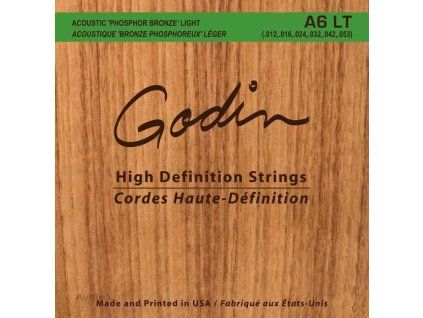 Godin A6 LT