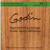 Godin A6 LT