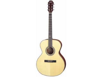 ASP-130 - akustická kytara