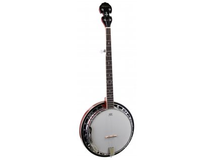 SB-20 - banjo