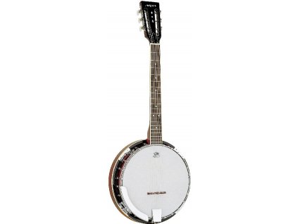 SB-100G - banjo