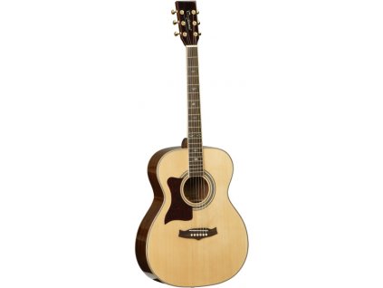TW 170 AS LH - akustická kytara pro leváky