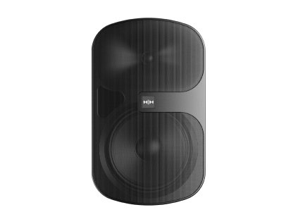 TNi W8 Wall Speaker.Front