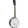 SB-100G - banjo