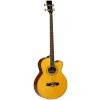 TW 55 A/BASS B - akustická basová kytara
