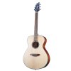 BREEDLOVE ECO COLLECTION DISCOVERY CONCERT SITKA FA scaled