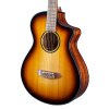 BREEDLOVE ECO COLLECTION DISCOVERY CONCERTINA EDGEBURST RED CEDAR FACU