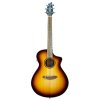 BREEDLOVE ECO COLLECTION DISCOVERY GUITAR CONCERT EDGEBURST RED CEDAR F 1