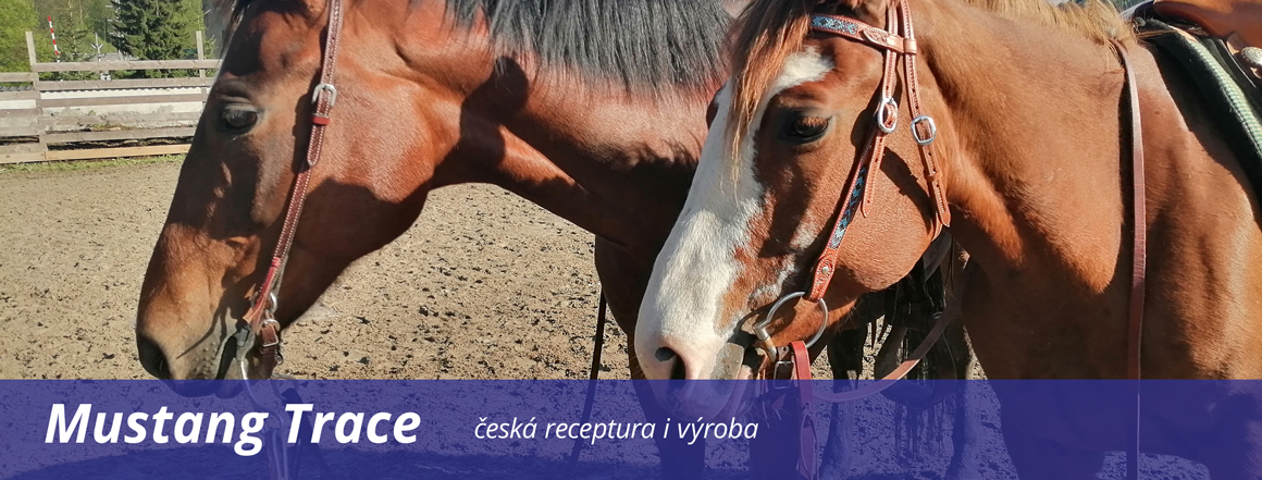 český výrobek