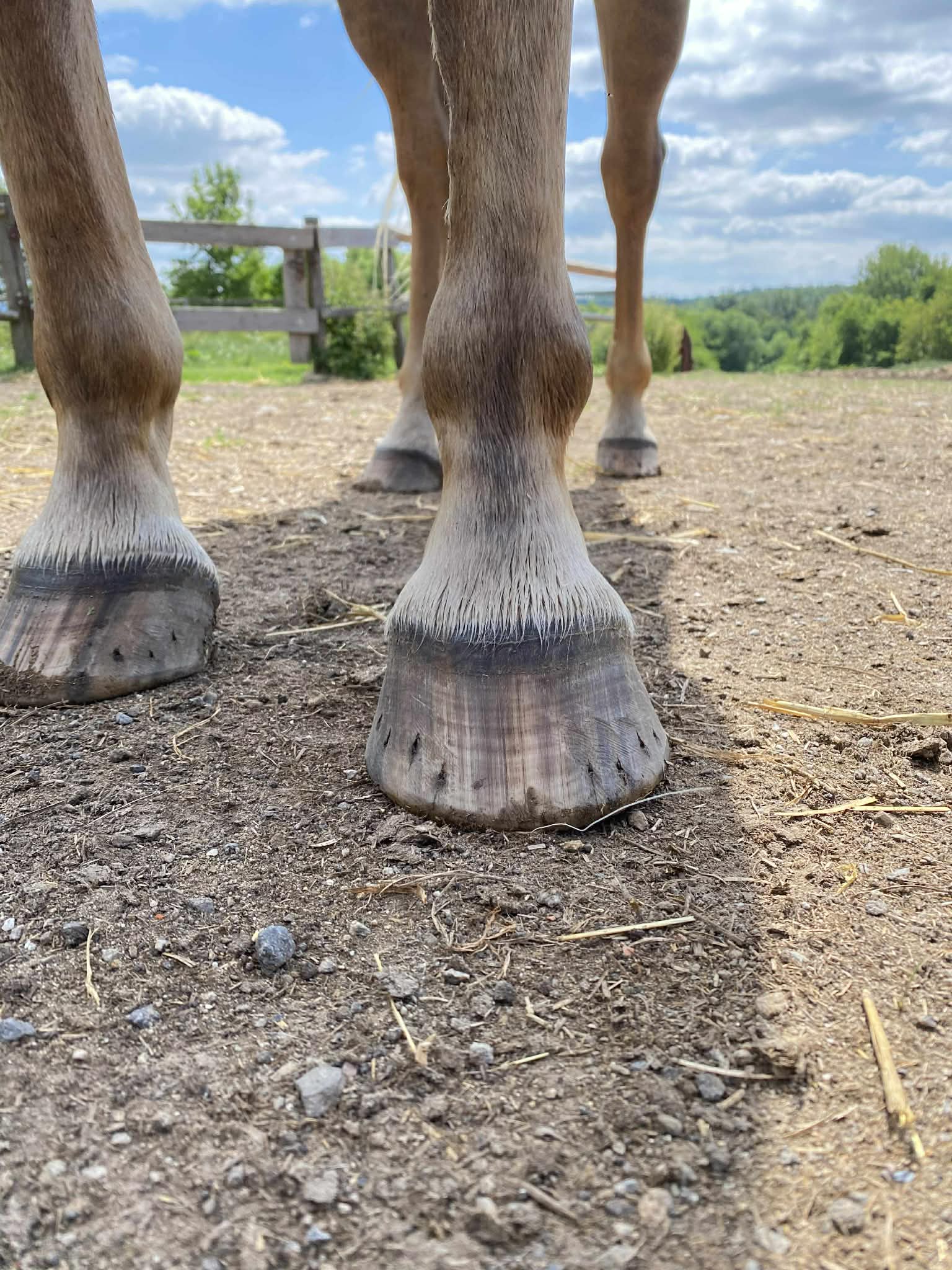 352a3f0c-dd21-4b5b-9600-291994e75e9f