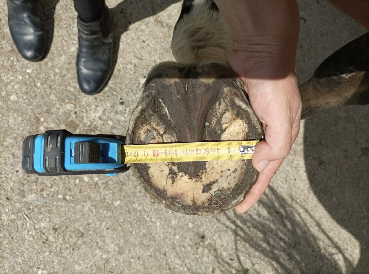 4343fae9-4e1b-4dd2-9573-832970b079a8