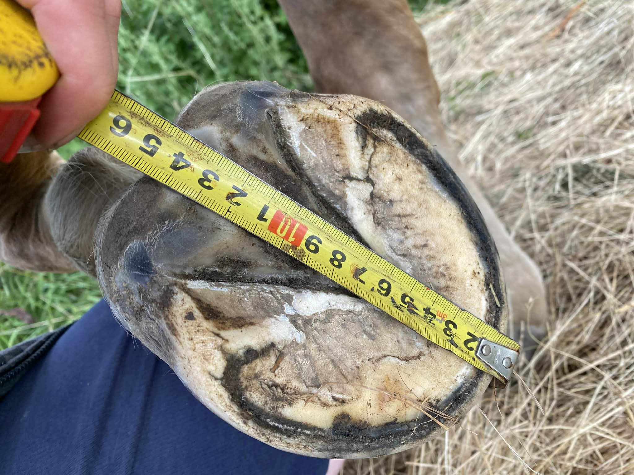 6ef8ca59-d96e-4665-8c24-265af12c49fe