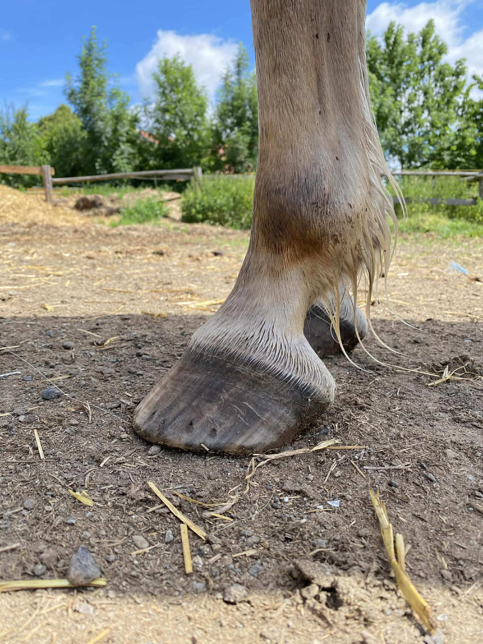 f324c18c-8330-489b-809a-bdfc4a45e27d