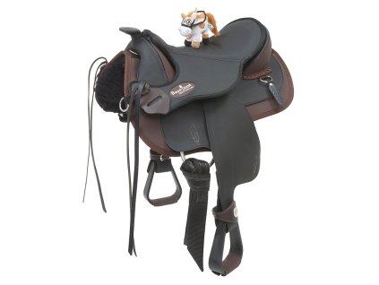 ar pony barry 01 02 8