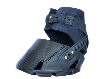 01. FlexHorse BLACK 1