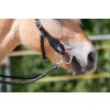 8.9500.21 EDIX bridle ED3 Rose IMG 3178