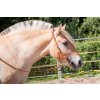 8.9500.21 EDIX bridle ED3 Rose IMG 3190