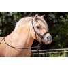 8.9500.21 EDIX bridle ED3 Rose IMG 3145